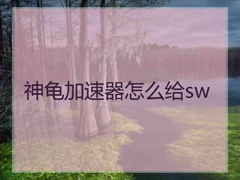 神龟加速器怎么给sw