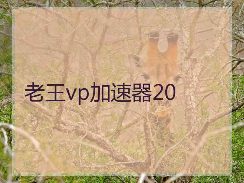 老王vp加速器20