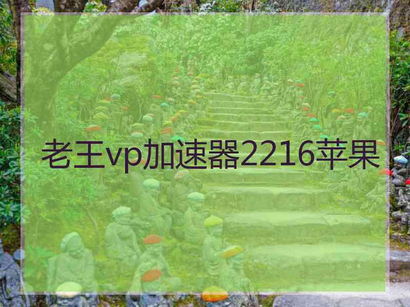 老王vp加速器2216苹果