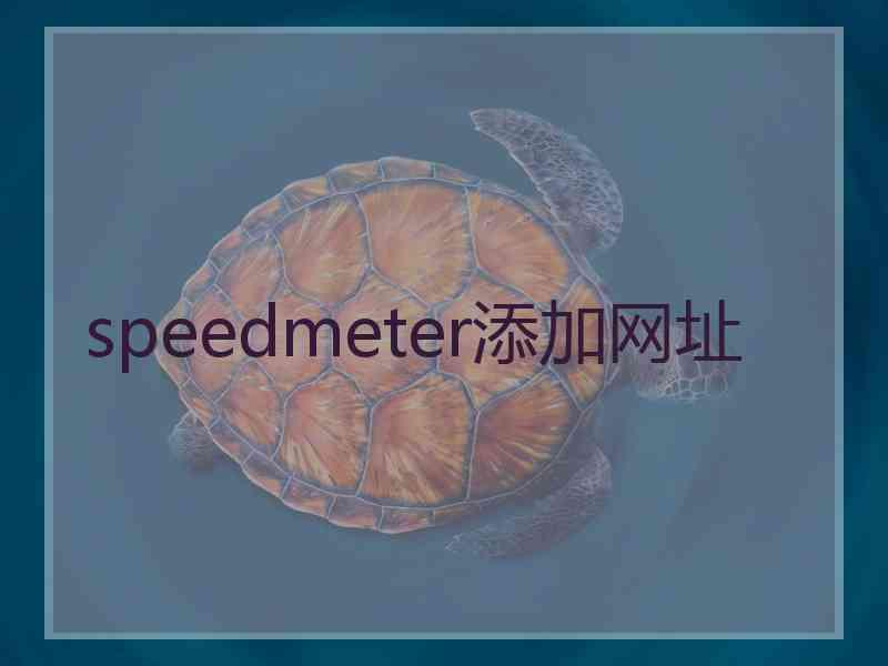 speedmeter添加网址