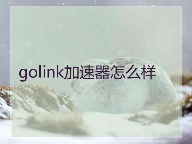 golink加速器怎么样