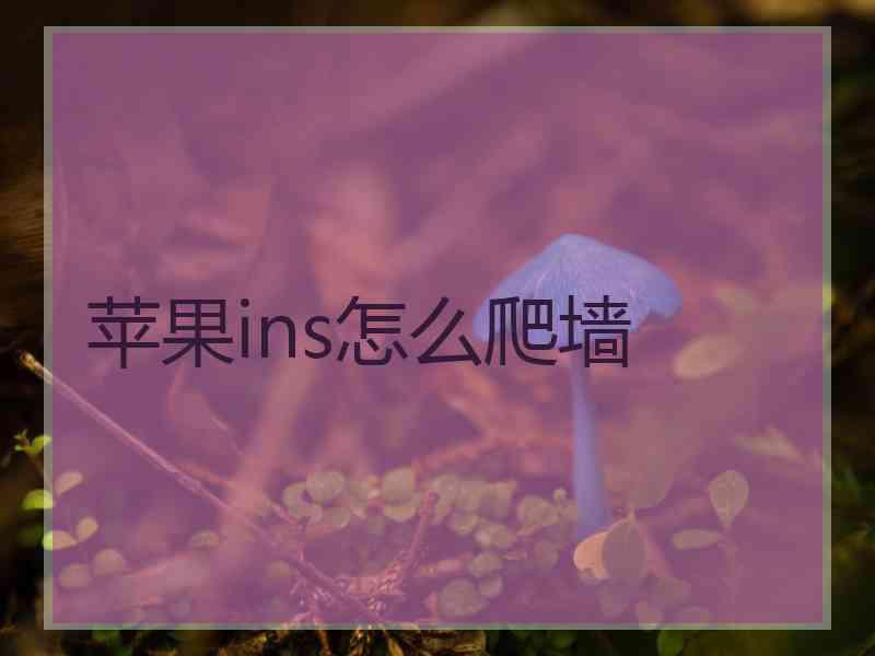 苹果ins怎么爬墙