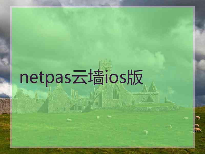 netpas云墙ios版