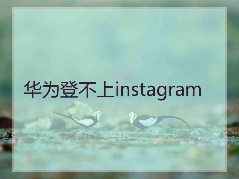 华为登不上instagram