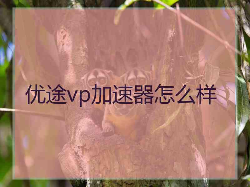 优途vp加速器怎么样