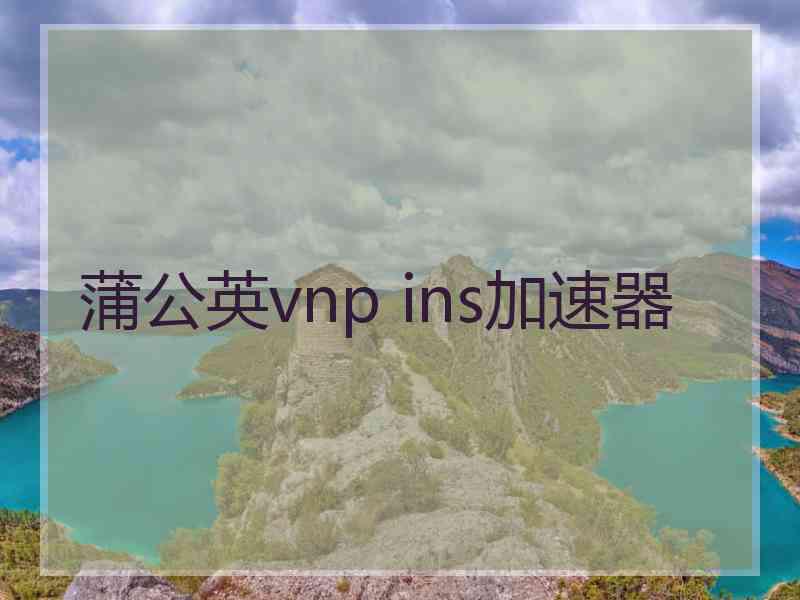 蒲公英vnp ins加速器