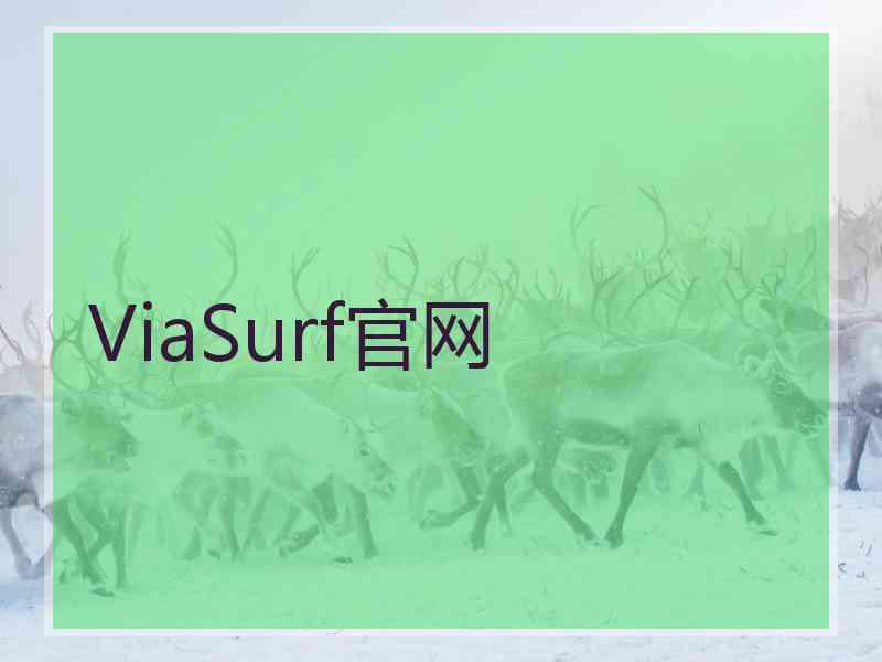 ViaSurf官网