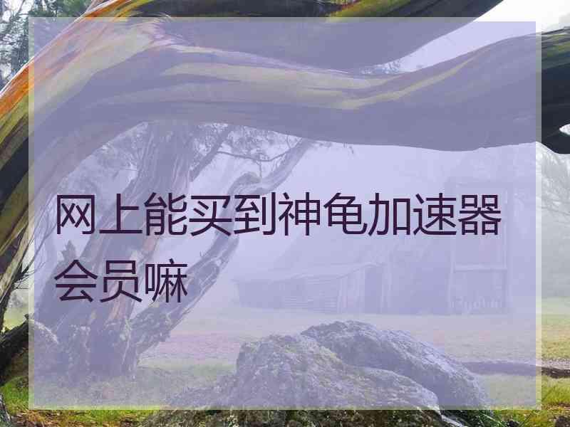 网上能买到神龟加速器会员嘛