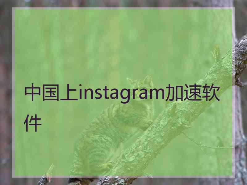 中国上instagram加速软件