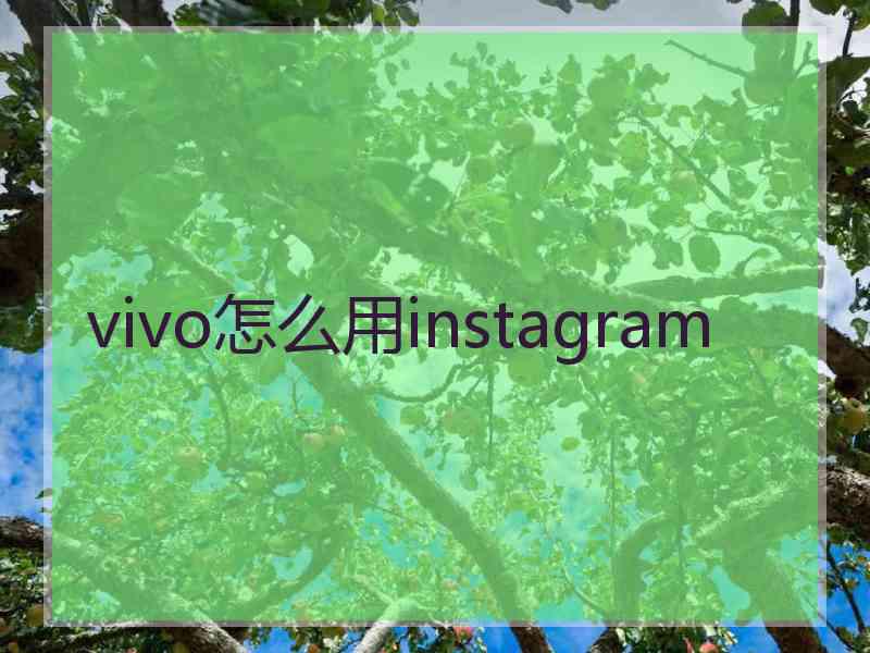 vivo怎么用instagram