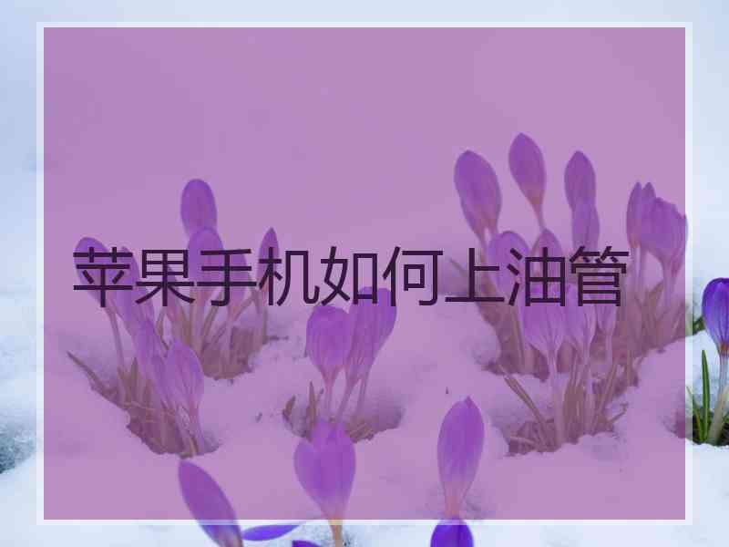 苹果手机如何上油管