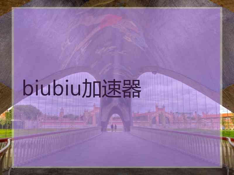 biubiu加速器