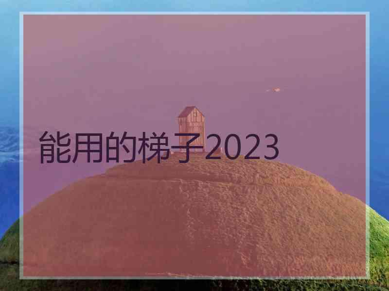 能用的梯子2023