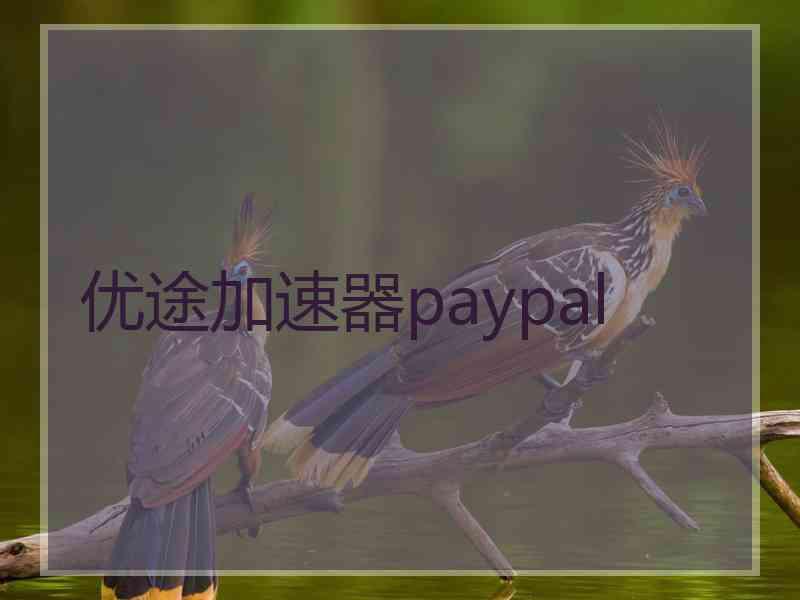 优途加速器paypal