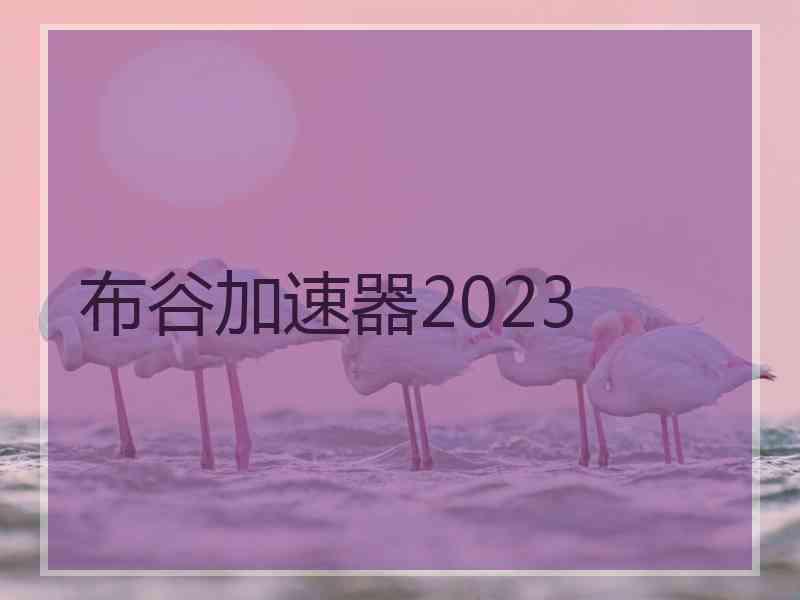 布谷加速器2023