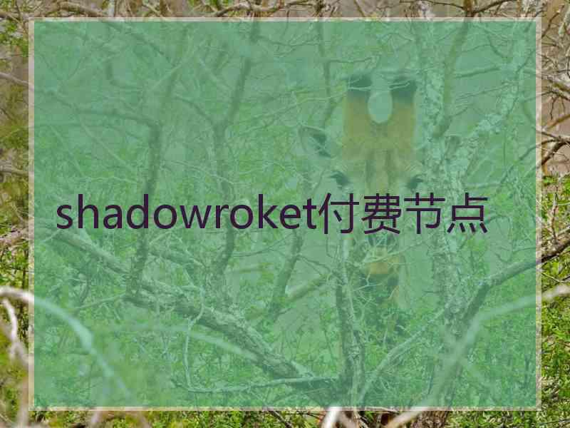 shadowroket付费节点