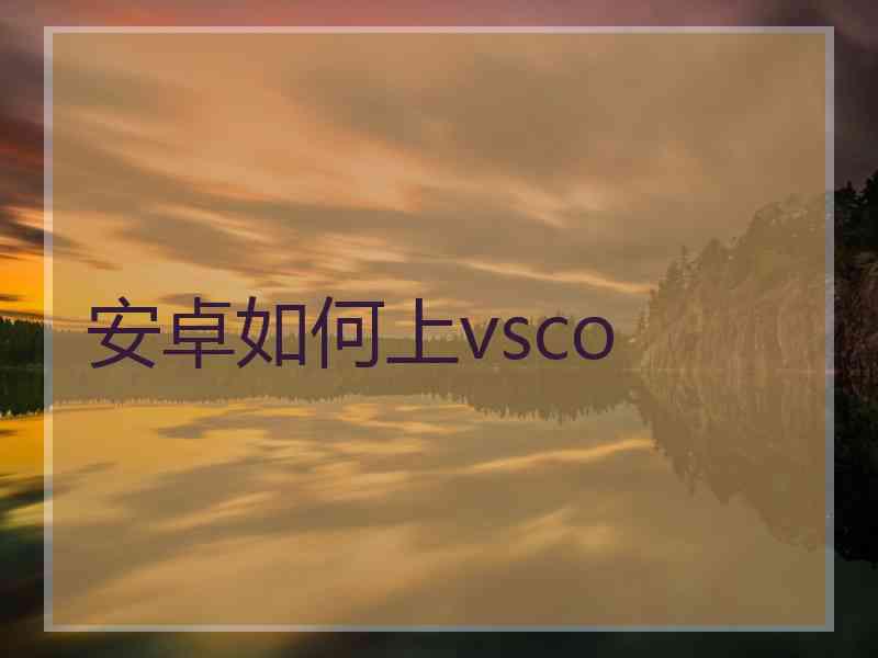 安卓如何上vsco