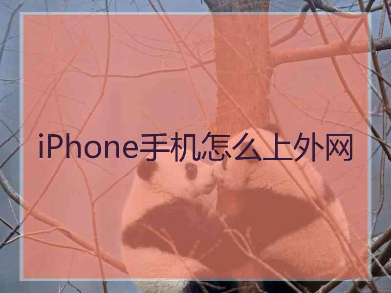 iPhone手机怎么上外网