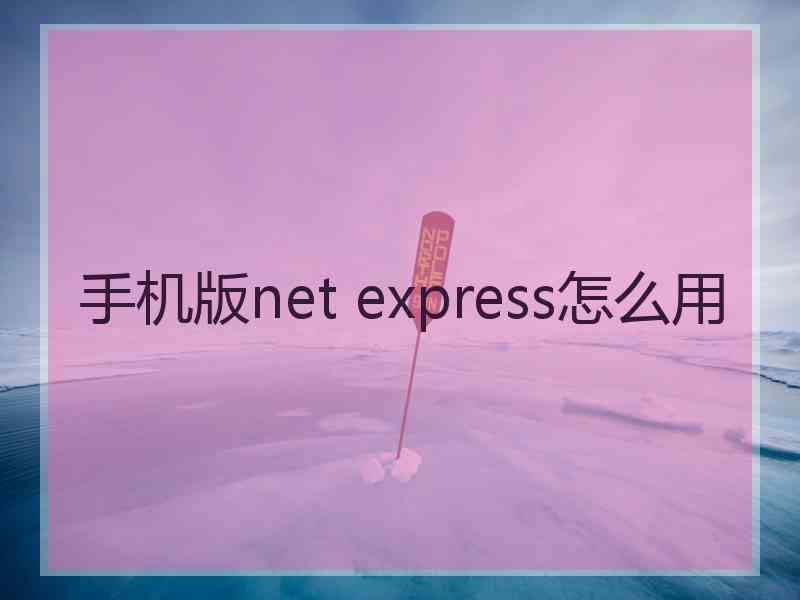 手机版net express怎么用