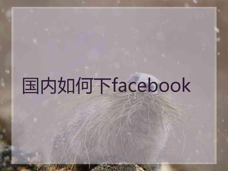 国内如何下facebook