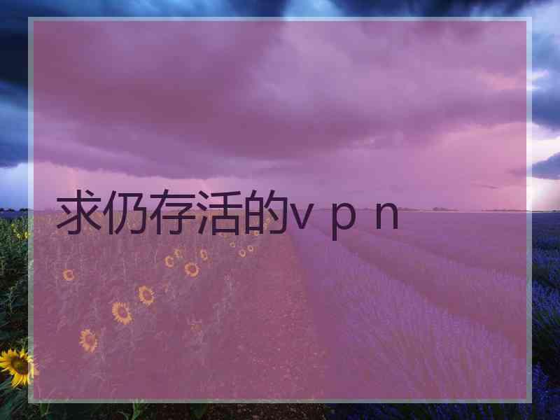 求仍存活的v p n