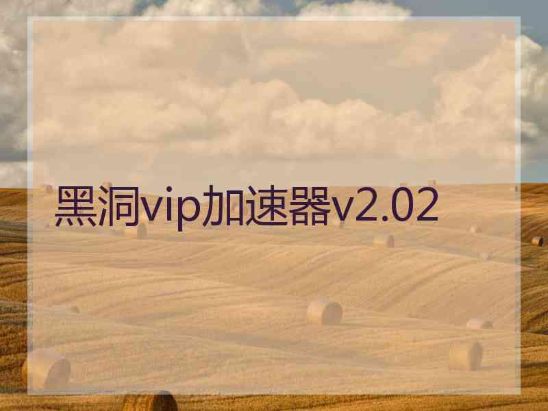 黑洞vip加速器v2.02