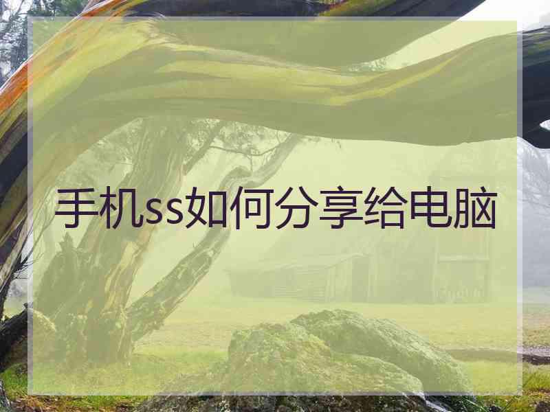 手机ss如何分享给电脑