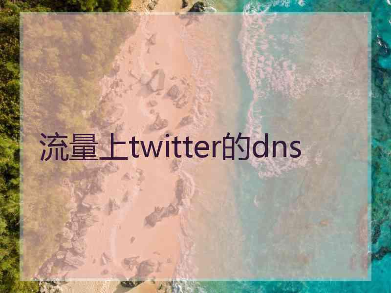 流量上twitter的dns