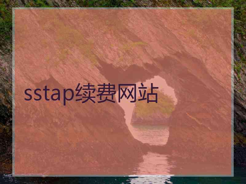 sstap续费网站