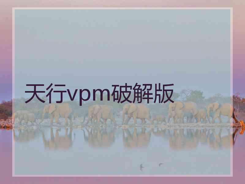 天行vpm破解版