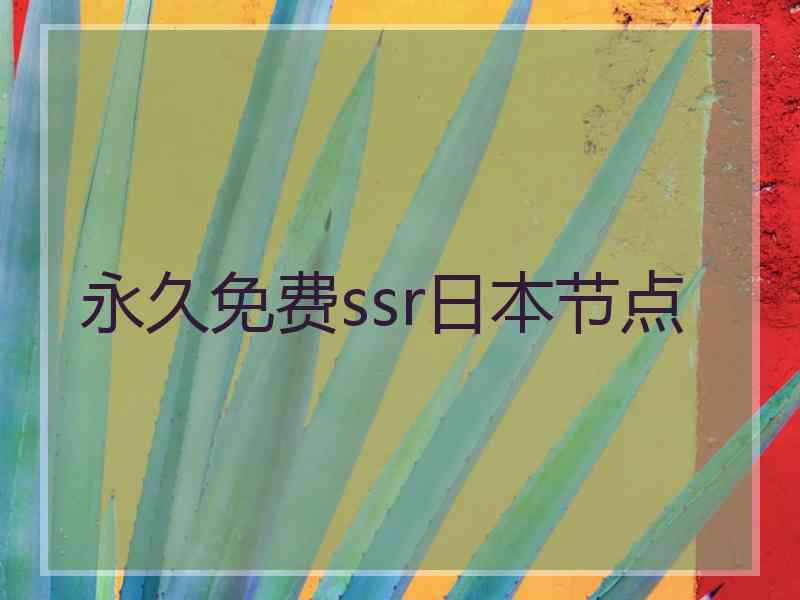 永久免费ssr日本节点