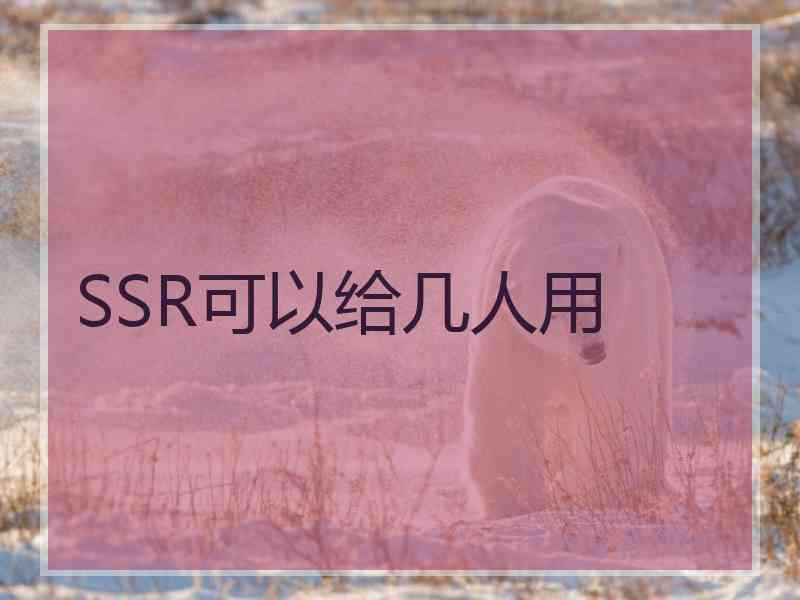 SSR可以给几人用