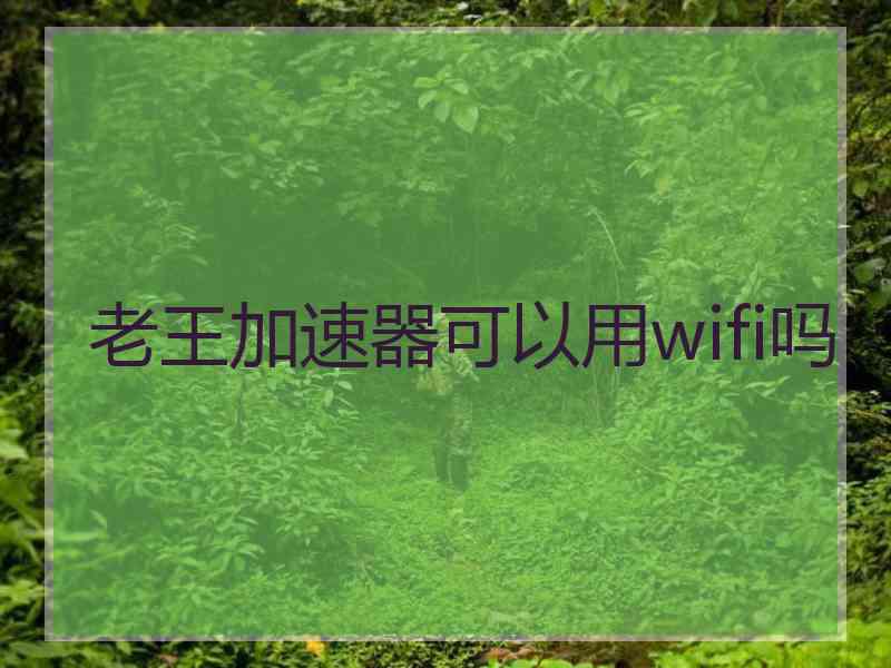 老王加速器可以用wifi吗