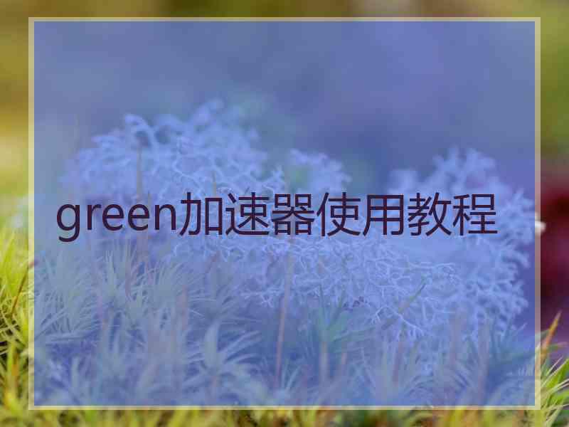 green加速器使用教程