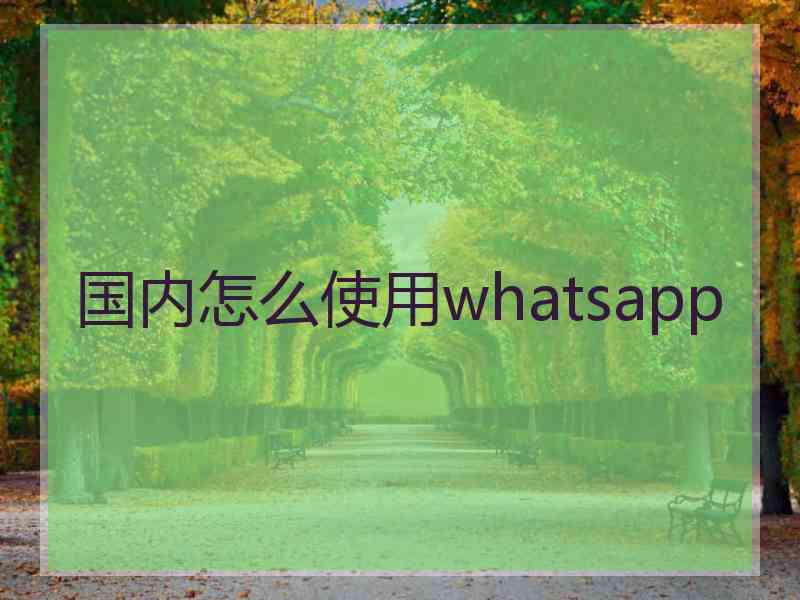 国内怎么使用whatsapp