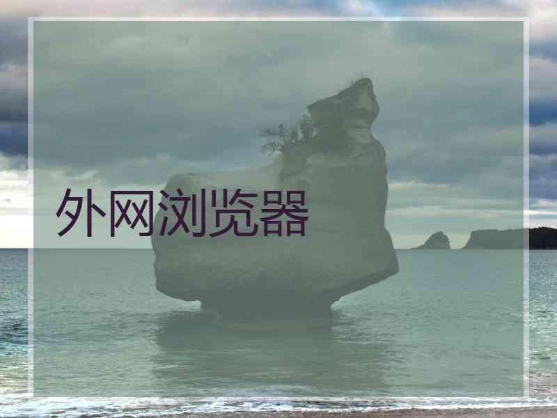 外网浏览器