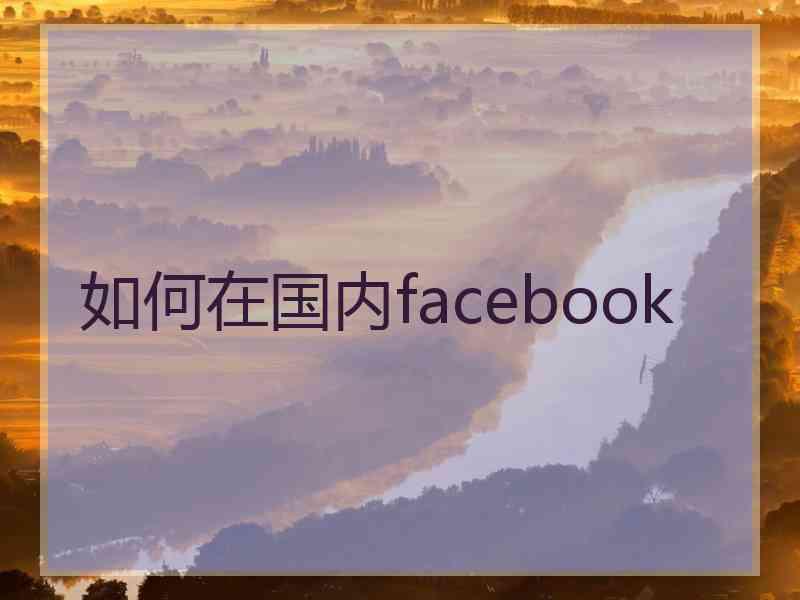 如何在国内facebook