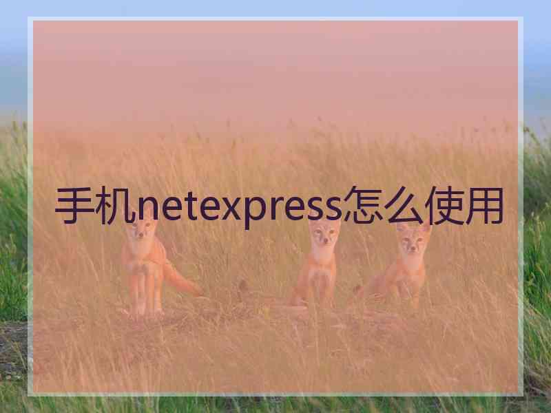 手机netexpress怎么使用