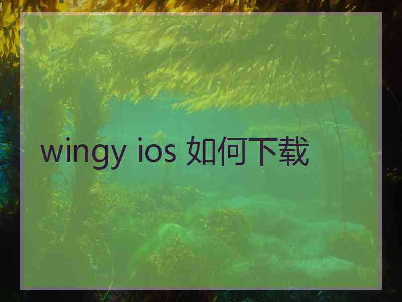 wingy ios 如何下载