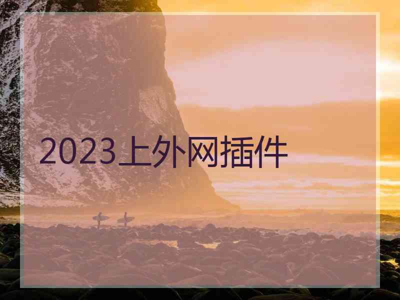 2023上外网插件