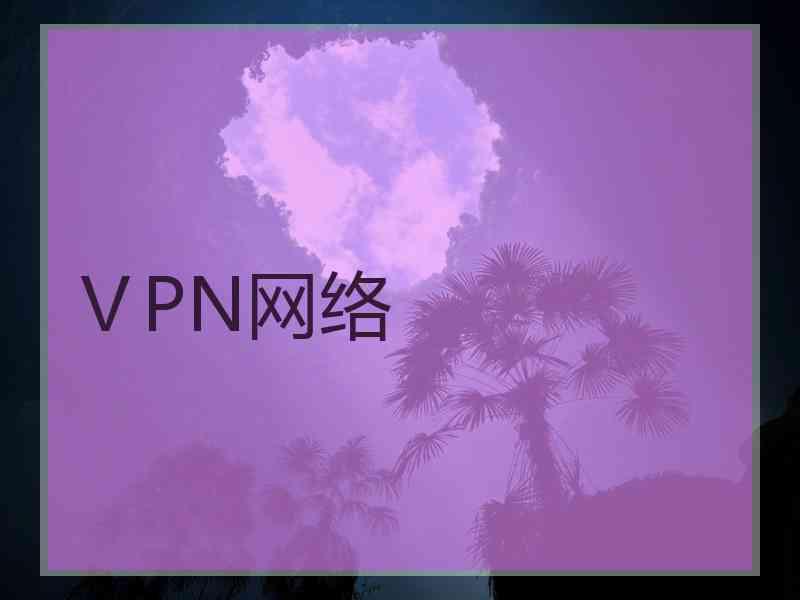 ⅤPN网络