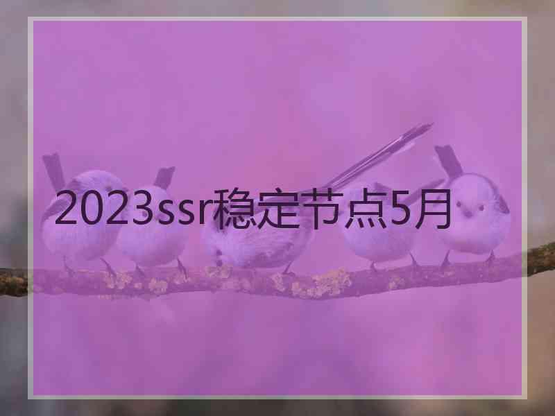 2023ssr稳定节点5月