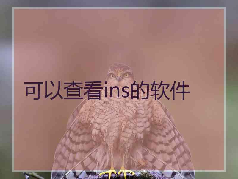 可以查看ins的软件