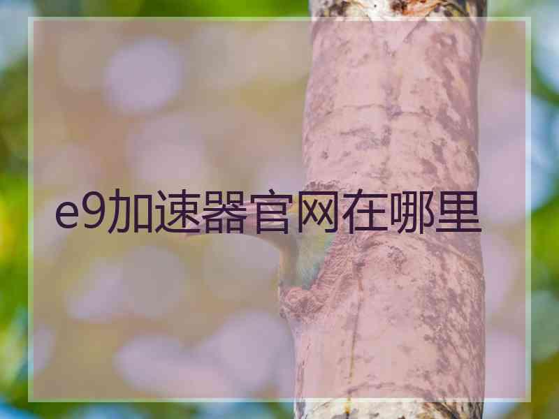 e9加速器官网在哪里