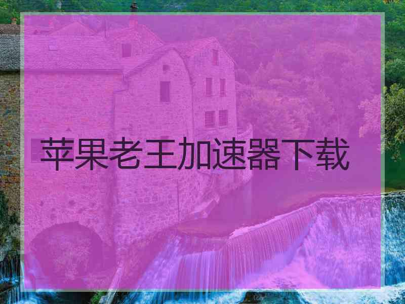 苹果老王加速器下载