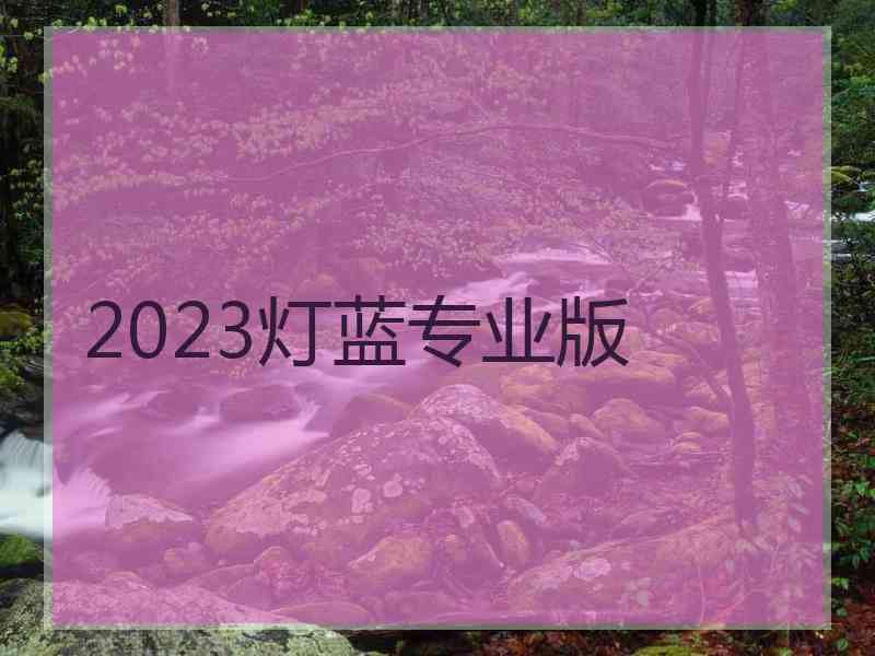 2023灯蓝专业版