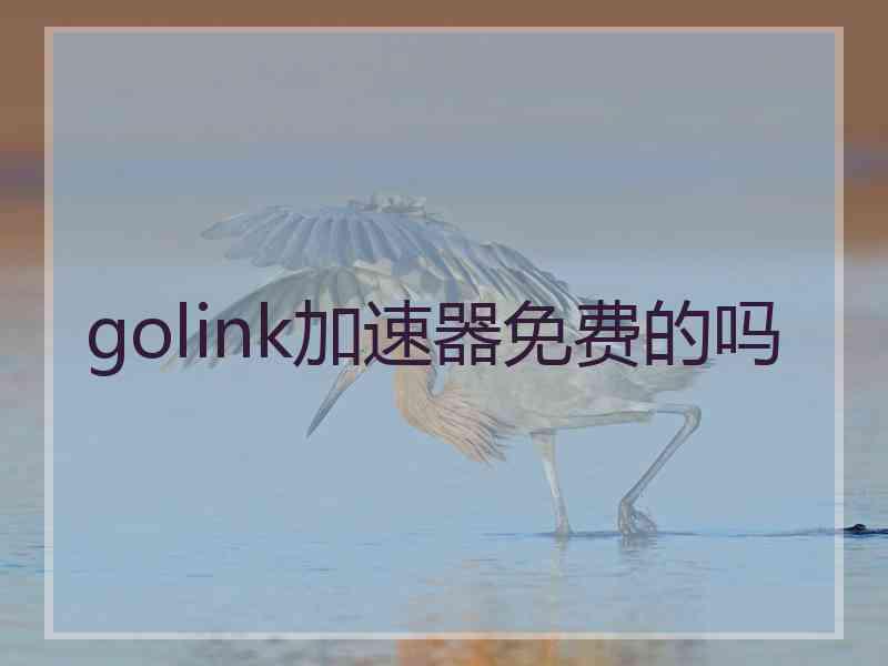 golink加速器免费的吗