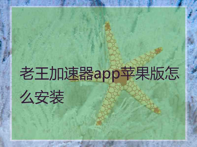 老王加速器app苹果版怎么安装