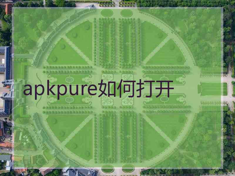 apkpure如何打开