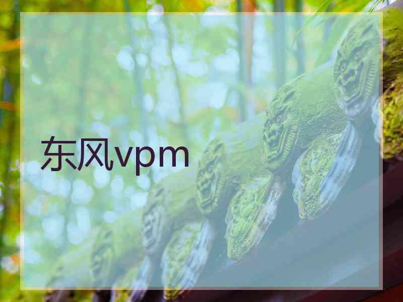 东风vpm